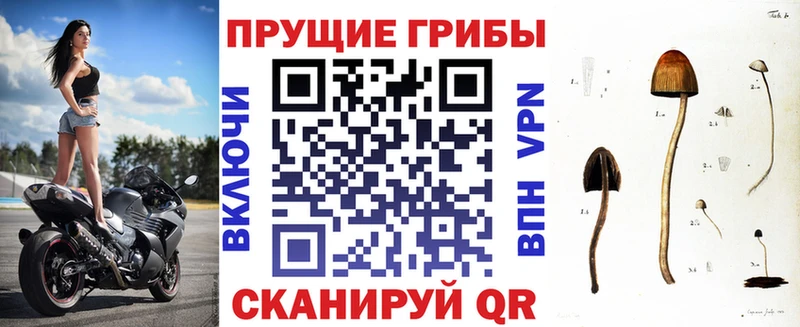 МЕГА ссылки  Малгобек  Галлюциногенные грибы Magic Shrooms 