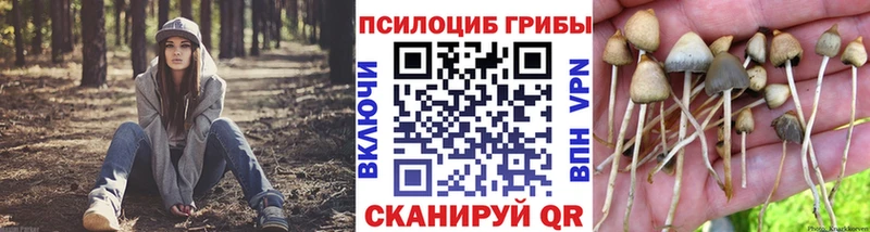 Галлюциногенные грибы Magic Shrooms Малгобек